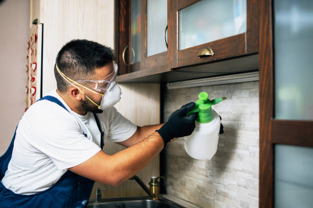 Best Wildlife Control Services  in Hardinsburg, KY