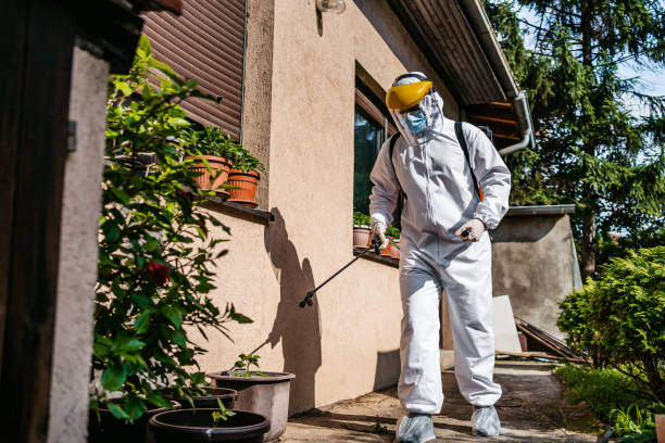 Best Termite Control Services  in Hardinsburg, KY