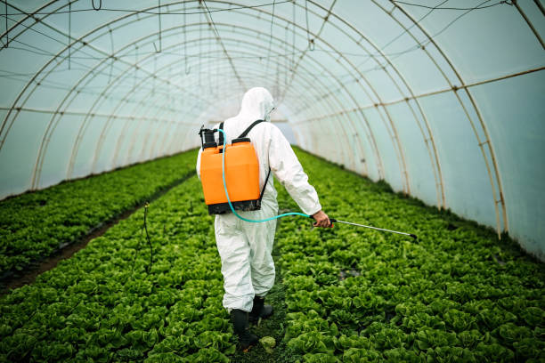 Best Pest Control Near Me  in Hardinsburg, KY
