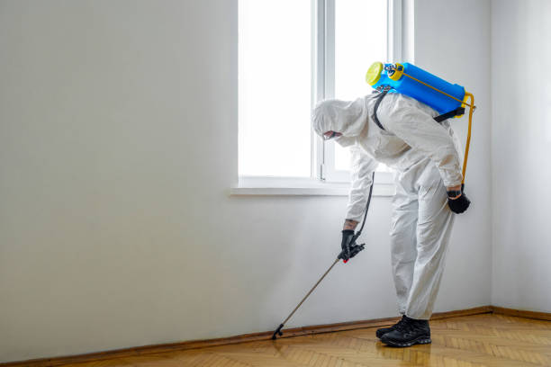 Best Mosquito Control Services  in Hardinsburg, KY