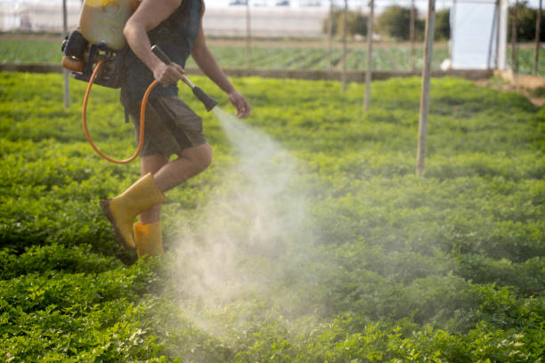 Best Pest Control for Restaurants  in Hardinsburg, KY