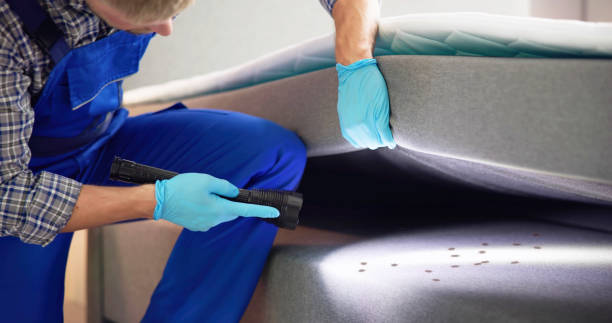 Best Wasp Removal Services  in Hardinsburg, KY