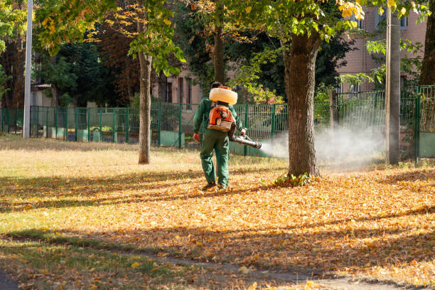 Best Insect Control  in Hardinsburg, KY