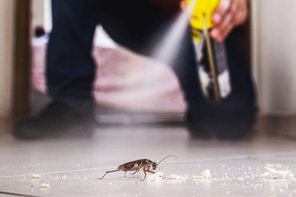Best Residential Pest Control  in Hardinsburg, KY