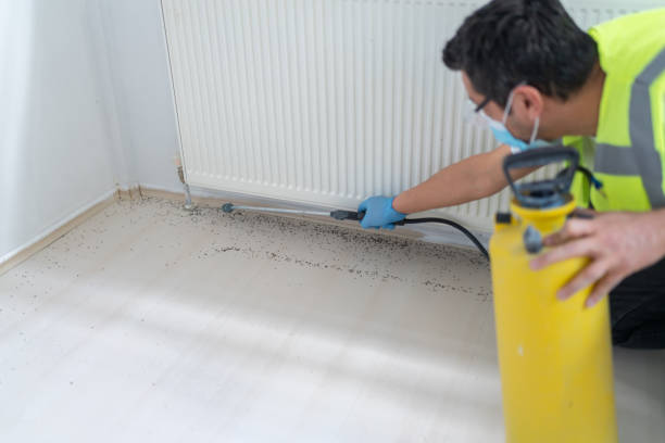 Best Pest Control Near Me  in Hardinsburg, KY