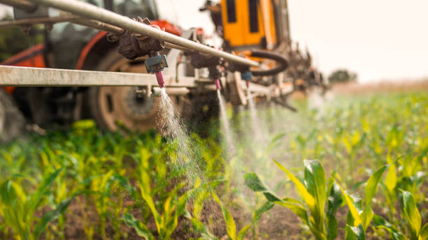 Reliable Hardinsburg, KY Pest Control Solutions